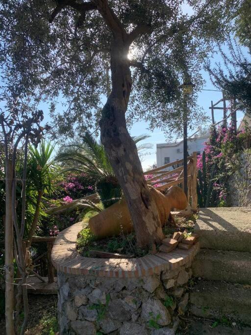 Villa Hermosa Costiera Amalfitana מראה חיצוני תמונה